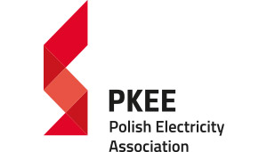 Polish Electricity Association